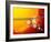 Sun And Its Planets-Detlev Van Ravenswaay-Framed Photographic Print