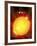 Sun And Its Planets-Detlev Van Ravenswaay-Framed Photographic Print