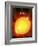 Sun And Its Planets-Detlev Van Ravenswaay-Framed Photographic Print