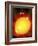 Sun And Its Planets-Detlev Van Ravenswaay-Framed Photographic Print