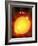 Sun And Its Planets-Detlev Van Ravenswaay-Framed Photographic Print