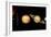 Sun And Its Planets-Detlev Van Ravenswaay-Framed Photographic Print