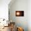 Sun And Planets, Size Comparison-Detlev Van Ravenswaay-Photographic Print displayed on a wall