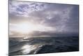 Premium Photographic Print