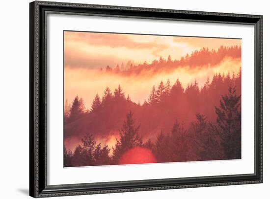 Sun Burned Fog Mount Tamalpais, Marin County, San Francisco-Vincent James-Framed Photographic Print