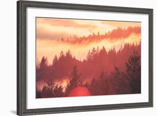 Sun Burned Fog Mount Tamalpais, Marin County, San Francisco-Vincent James-Framed Photographic Print