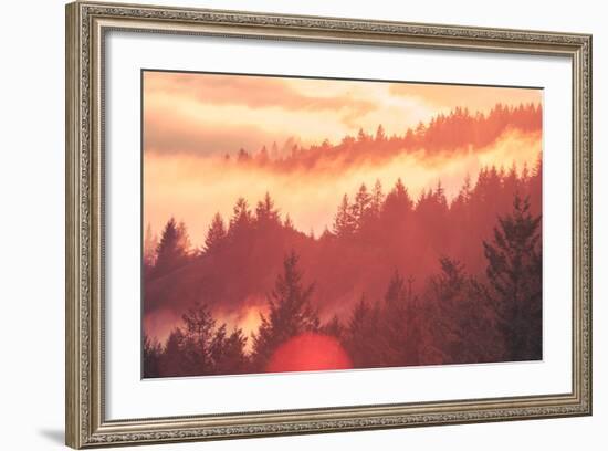 Sun Burned Fog Mount Tamalpais, Marin County, San Francisco-Vincent James-Framed Photographic Print