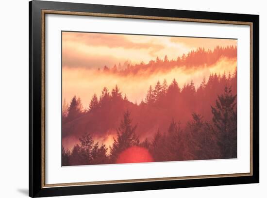 Sun Burned Fog Mount Tamalpais, Marin County, San Francisco-Vincent James-Framed Photographic Print