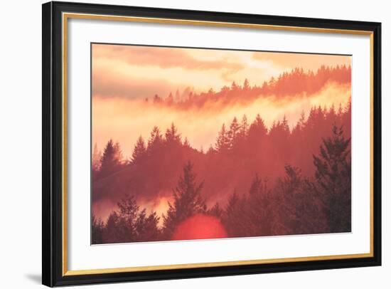 Sun Burned Fog Mount Tamalpais, Marin County, San Francisco-Vincent James-Framed Photographic Print