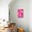 Sun Burst-Nicholas Biscardi-Mounted Art Print displayed on a wall