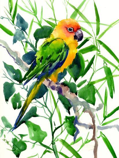 Sun Conure Suren Art Print Suren Nersisyan Art Com