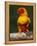 Sun Conure-Lynn M. Stone-Framed Premier Image Canvas