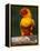 Sun Conure-Lynn M. Stone-Framed Premier Image Canvas