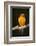 Sun Conure-Lynn M^ Stone-Framed Photographic Print