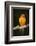 Sun Conure-Lynn M^ Stone-Framed Photographic Print