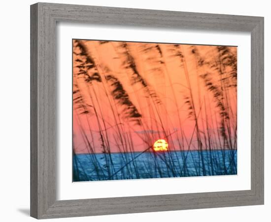 Sun Dance-Steve Vaughn-Framed Photographic Print