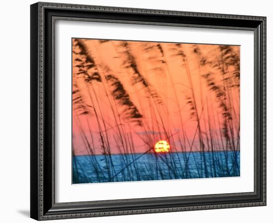 Sun Dance-Steve Vaughn-Framed Photographic Print