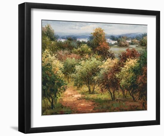 Sun Dappled Country Road-Hulsey-Framed Art Print