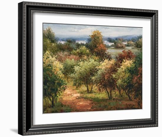 Sun Dappled Country Road-Hulsey-Framed Art Print