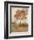 Sun Dappled Tree-Ken Roko-Framed Art Print