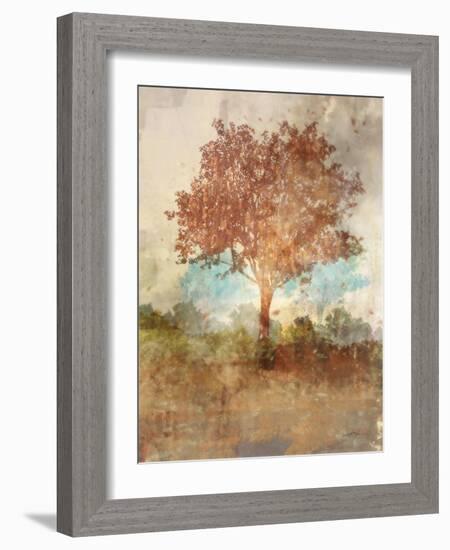 Sun Dappled Tree-Ken Roko-Framed Art Print