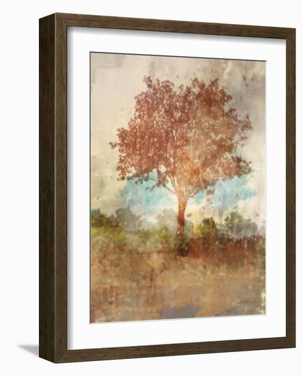 Sun Dappled Tree-Ken Roko-Framed Art Print