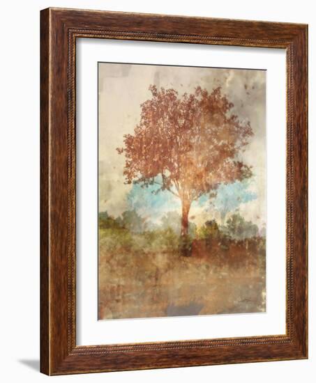 Sun Dappled Tree-Ken Roko-Framed Art Print