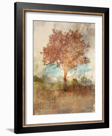 Sun Dappled Tree-Ken Roko-Framed Art Print