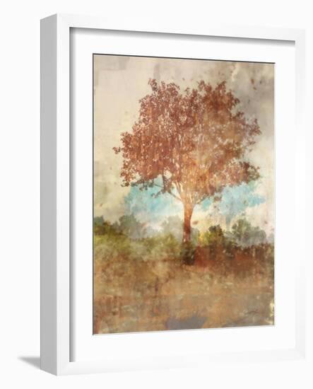 Sun Dappled Tree-Ken Roko-Framed Art Print