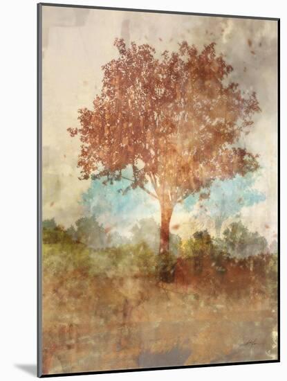 Sun Dappled Tree-Ken Roko-Mounted Art Print