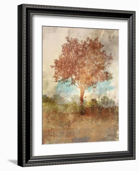 Sun Dappled Tree-Ken Roko-Framed Art Print