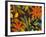 Sun Dew II-Sandra Jacobs-Framed Giclee Print