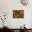 Sun Dew II-Sandra Jacobs-Mounted Giclee Print displayed on a wall
