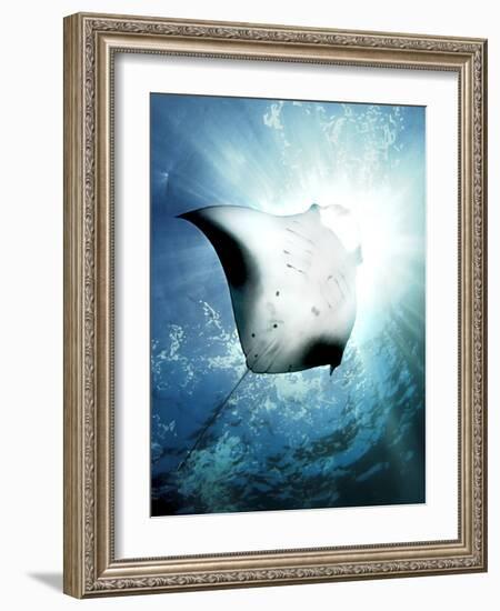 Sun Diver-Henry Jager-Framed Photographic Print