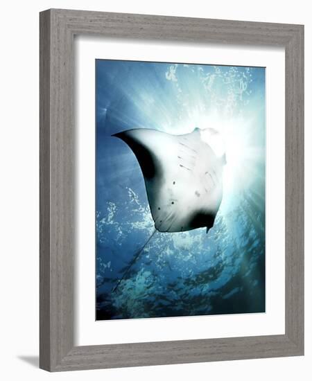 Sun Diver-Henry Jager-Framed Photographic Print