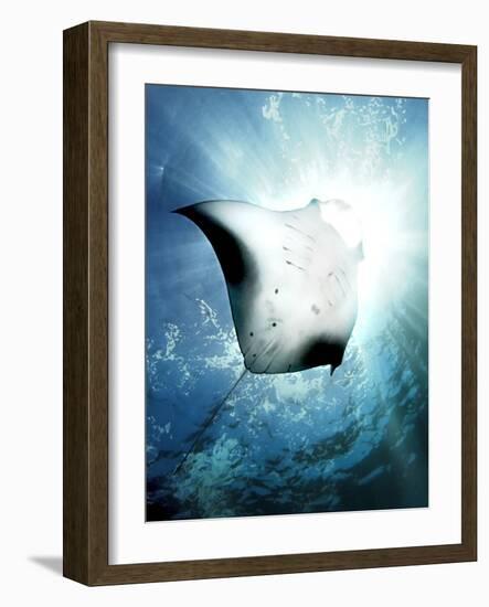 Sun Diver-Henry Jager-Framed Photographic Print