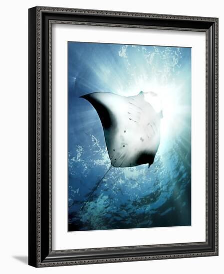 Sun Diver-Henry Jager-Framed Photographic Print