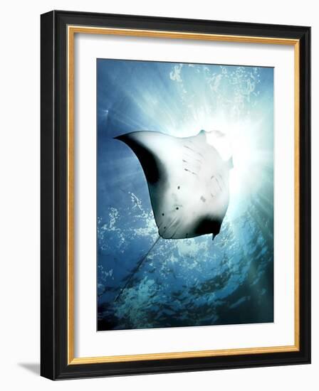 Sun Diver-Henry Jager-Framed Photographic Print