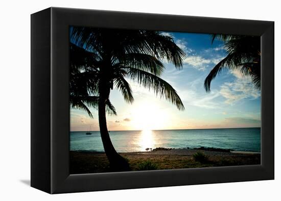 Sun Downer-Susan Bryant-Framed Premier Image Canvas