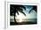 Sun Downer-Susan Bryant-Framed Photographic Print