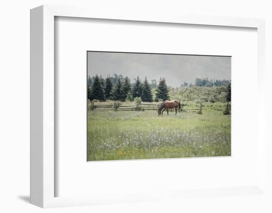 Sun Drenched II-Elizabeth Urquhart-Framed Photographic Print