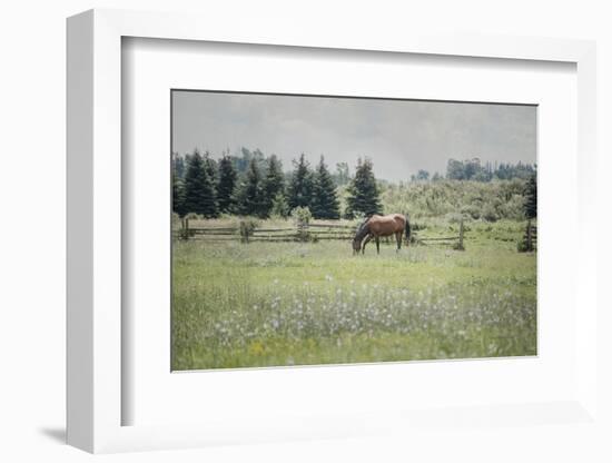 Sun Drenched II-Elizabeth Urquhart-Framed Photographic Print