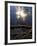 Sun Filters Through the Trees of the Coastal Mountain Range, Oregon, USA-Janis Miglavs-Framed Photographic Print