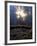 Sun Filters Through the Trees of the Coastal Mountain Range, Oregon, USA-Janis Miglavs-Framed Photographic Print