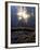 Sun Filters Through the Trees of the Coastal Mountain Range, Oregon, USA-Janis Miglavs-Framed Photographic Print