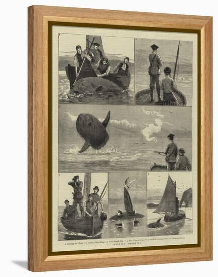 Sun-Fish Shooting-Joseph Nash-Framed Premier Image Canvas