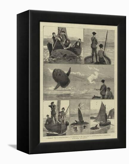 Sun-Fish Shooting-Joseph Nash-Framed Premier Image Canvas