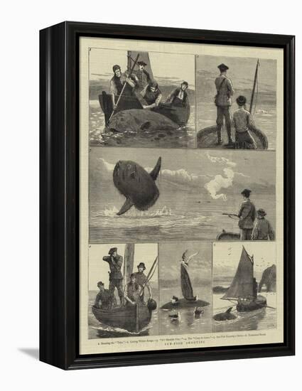 Sun-Fish Shooting-Joseph Nash-Framed Premier Image Canvas