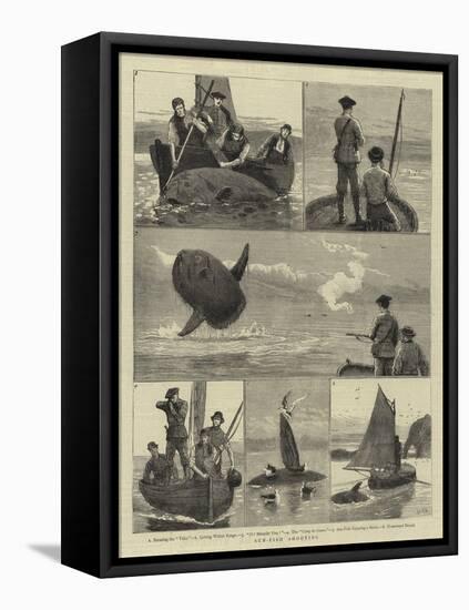 Sun-Fish Shooting-Joseph Nash-Framed Premier Image Canvas