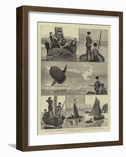 Sun-Fish Shooting-Joseph Nash-Framed Giclee Print